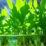 Descubra As Melhores Plantas Que Se Dão Na Água Para Sua Casa