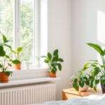 Descubra As Melhores Plantas Que Purificam O Ar Do Quarto E Respire Melhor